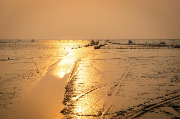 Profitez d'une liberté immédiate avec la location de voiture pour explorer sans limites
